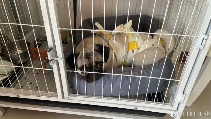 小可怜🥺 ​​​