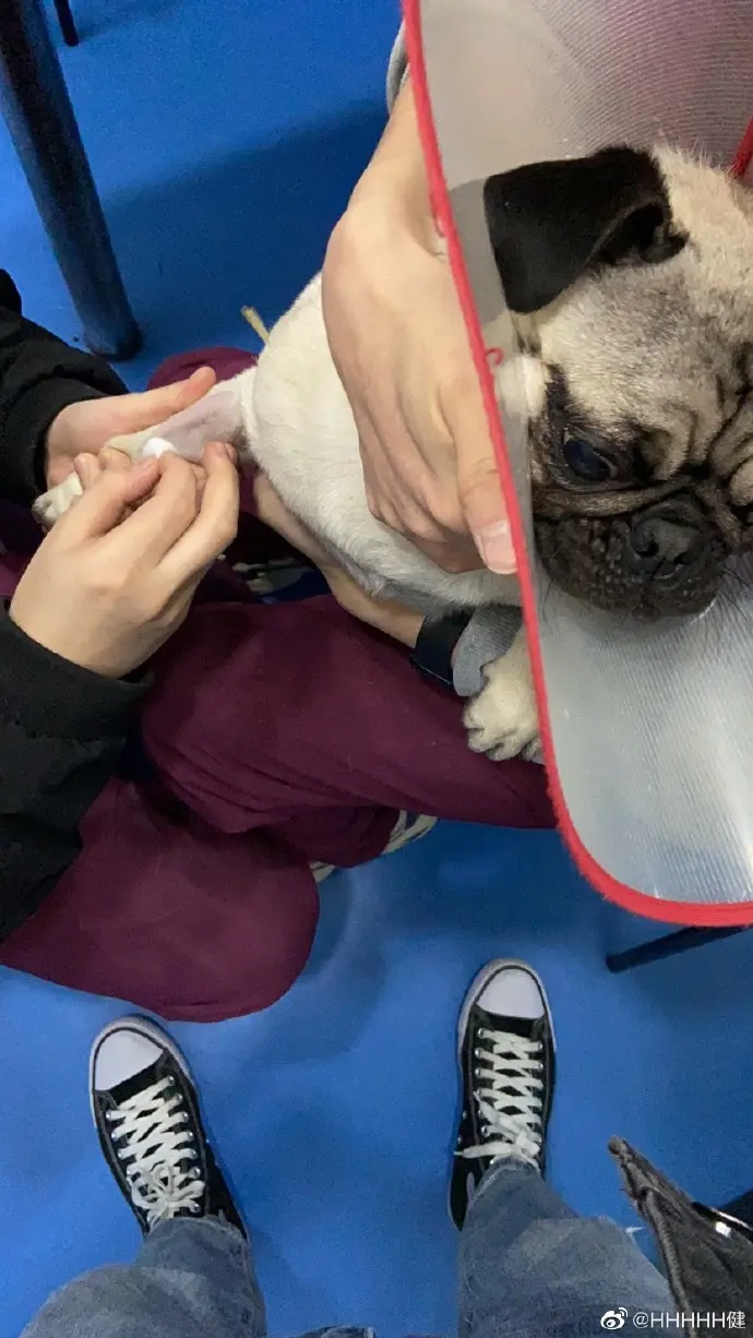 小可怜🥺 ​​​